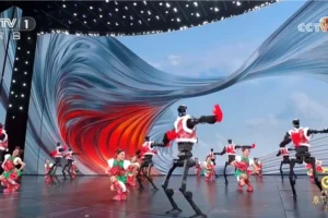 中国のロボットが春節ガラで驚異のフォークダンス!海外でも話題に 中国の蛇年の春節祭で楊歌の民族舞踊を踊るグループ。(画像提供: Weibo)