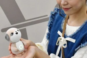 シャープの会話型AIキャラクター「ポケトモ」。（画像提供：シャープ株式会社）