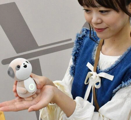 シャープの会話型AIキャラクター「ポケトモ」。（画像提供：シャープ株式会社）