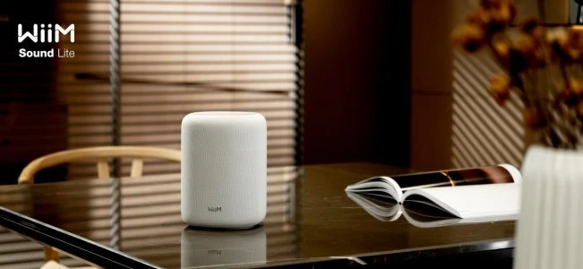 WiiM Sound Lite （画像出典：WiiM 公式フォーラム掲載画像）